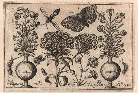 Twee vazen met bloemen, vlinder en rupsen
