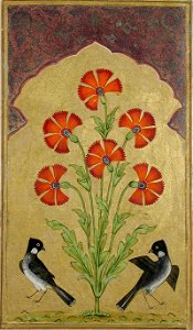 Two bulbuls under a poppy plant with many blossoms under an architectural niche (6124546457)
