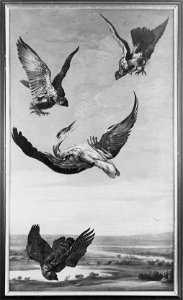 Two Falcons and a Goshawk Attacking a Heron - Nationalmuseum - 127330