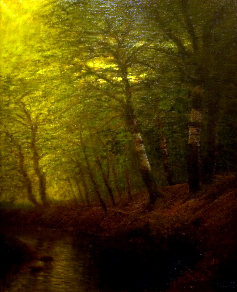 Twilight Forest