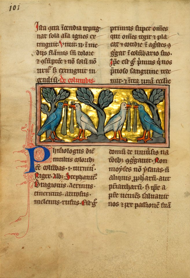 Two Pairs of Doves - Google Art Project