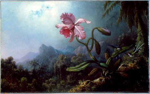 Two Hummingbirds with an Orchid by Martin Johnson Heade, 1875, High Museum of Art. Free illustration for personal and commercial use.
