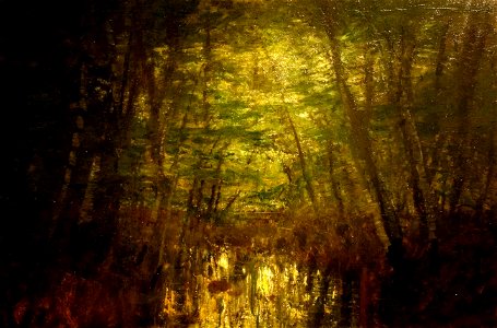 Twilight over the Marsh