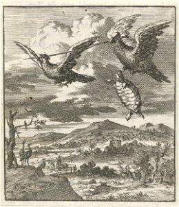 Twee vogels dragen samen al vliegend een stok waar een schildpad zich aan vasthield