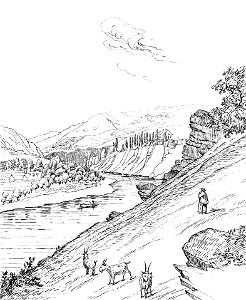 Tylmanowa