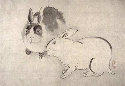 Two Rabbits (Kobi)