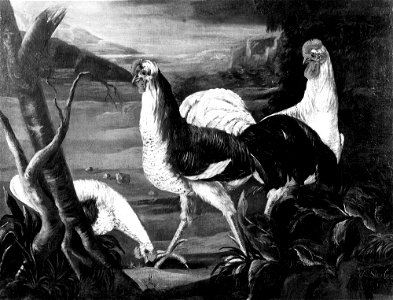 Two Roosters and a Hen (Magnus Stenbock) - Nationalmuseum - 21857