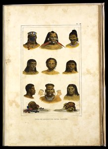 Têtes de différentes castes sauvages (2), da Coleção Brasiliana Iconográfica