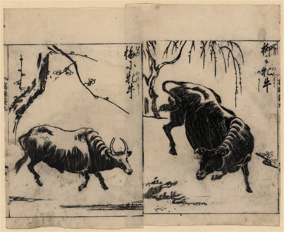 Two oxen, one under a willow tree and one under a plum tree LCCN2008660985