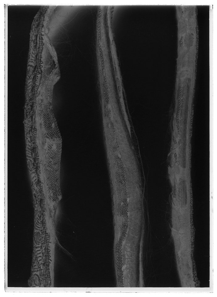 Tygel gylleneryttaren - Livrustkammaren - 44763-negative