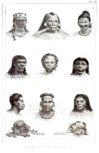 Têtes de differéntes castes sauvages (3), da Coleção Brasiliana Iconográfica