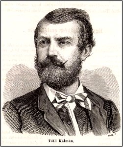 Tóth Kálmán Hazánk s a Külföld 1868