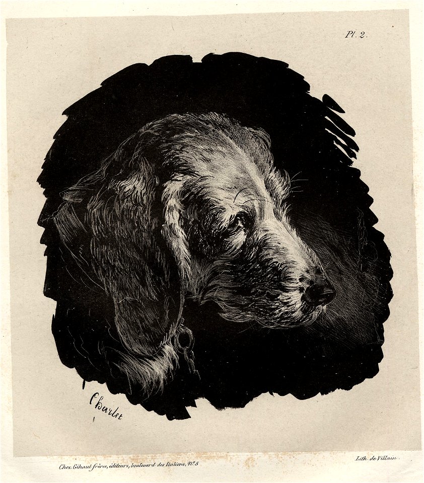 Tête de chien (BM 1869,0410.91)