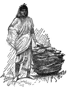 Type of Sudra Caste - Page 84 - Chapter VIII - History of India Vol 1 (1906)