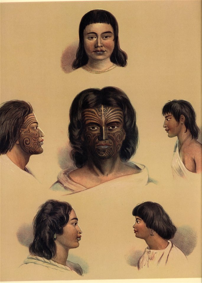 TYPICAL PORTRAITS OF THE NEW ZEALANDERS, The New Zealanders Illustrated, 1847