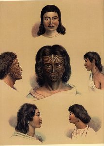 TYPICAL PORTRAITS OF THE NEW ZEALANDERS, The New Zealanders Illustrated, 1847. Free illustration for personal and commercial use.