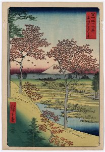 Tōto meguro yuhhigaoka - Hiroshige ga. LCCN2004666335