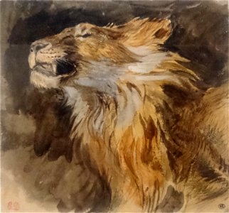 Tête de lion rugissant - Eugène Delacroix - MI 893, Recto - Artgs Graphiques - musée du Louvre