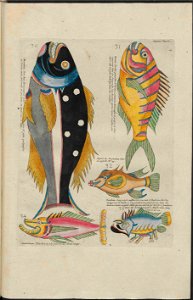 UB Utrecht - Louis Renard - 1782 - Natuurlyke Historie - page 168