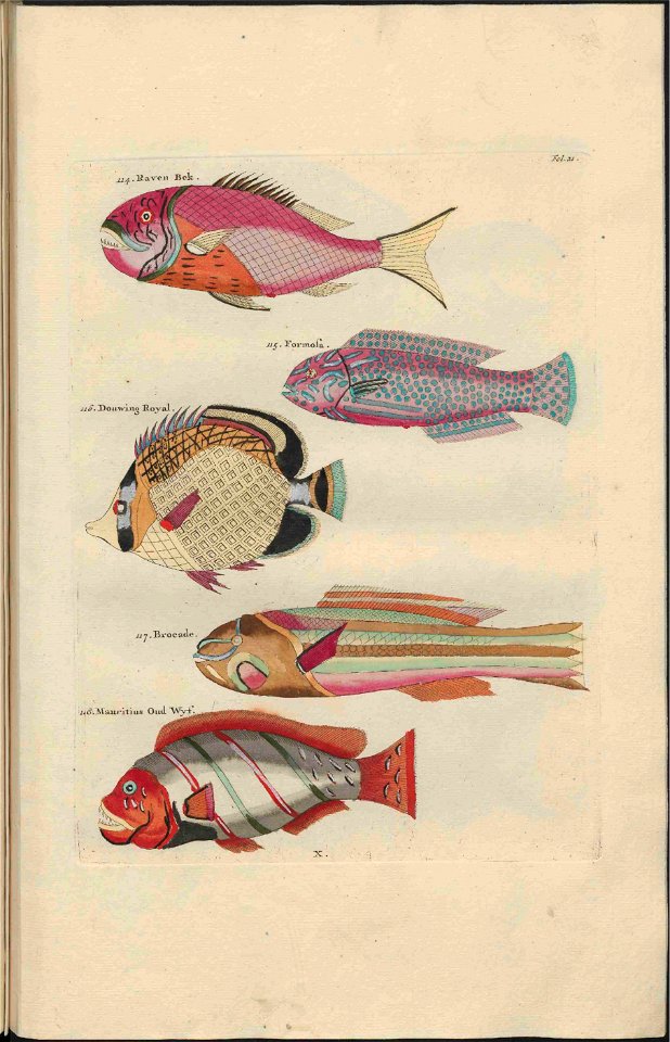 UB Utrecht - Louis Renard - 1782 - Natuurlyke Historie - page 108