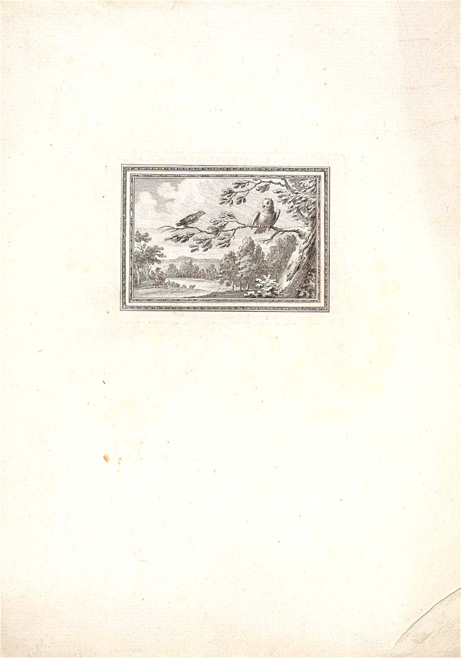 Uil en leeuwerik
