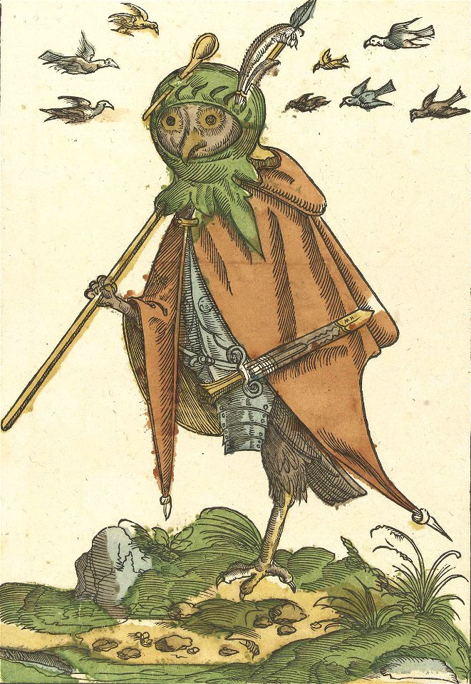 Uil uitgedost als een soldaat cropped