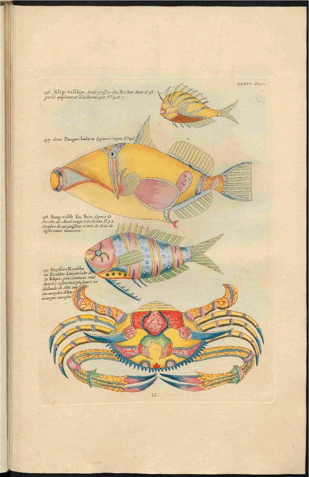 UB Utrecht - Louis Renard - 1782 - Natuurlyke Historie - page 222