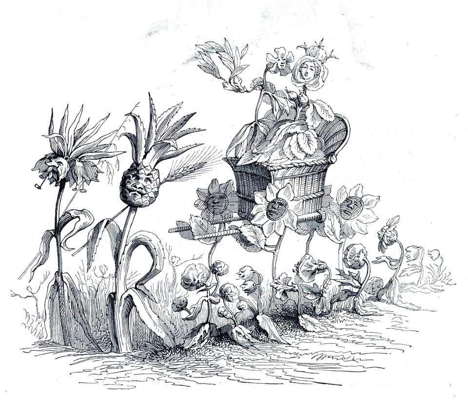 Grandville La Mort d'une immortelle 4