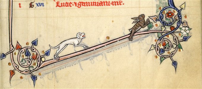 Un chien chasse un lapin MS 1588