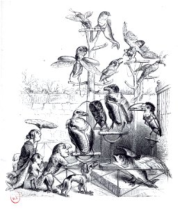 Grandville Une Après Midi II 2