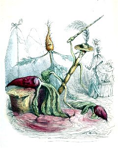 Grandville Une Révolution végétale 5 alt