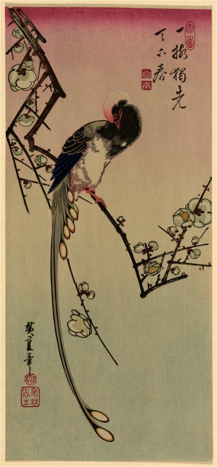 Ume ni onagadori LCCN2008660648