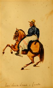 Una samba limeña a cavallo - Pancho Fierro
