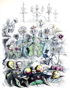 Grandville La Mort d'une immortelle 2 alt