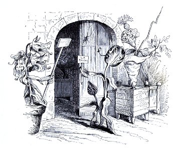 Grandville La Mort d'une immortelle 3
