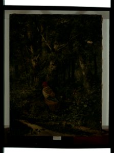 Un ruisseau sous bois - Henri Charles Langerock - musée d'art et d'histoire de Saint-Brieuc, DOC 167