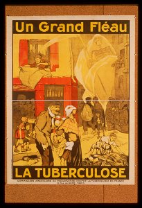Un grand fléau la tuberculose LCCN99613502