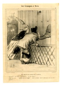 Une émotion au jardin des plantes (Fright at the Jardin des Plantes) (BM 1886,1012.165)
