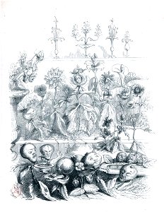 Grandville La Mort d'une immortelle 2