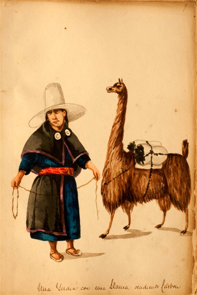 Una india con una llama vendiendo carbón - Pancho Fierro
