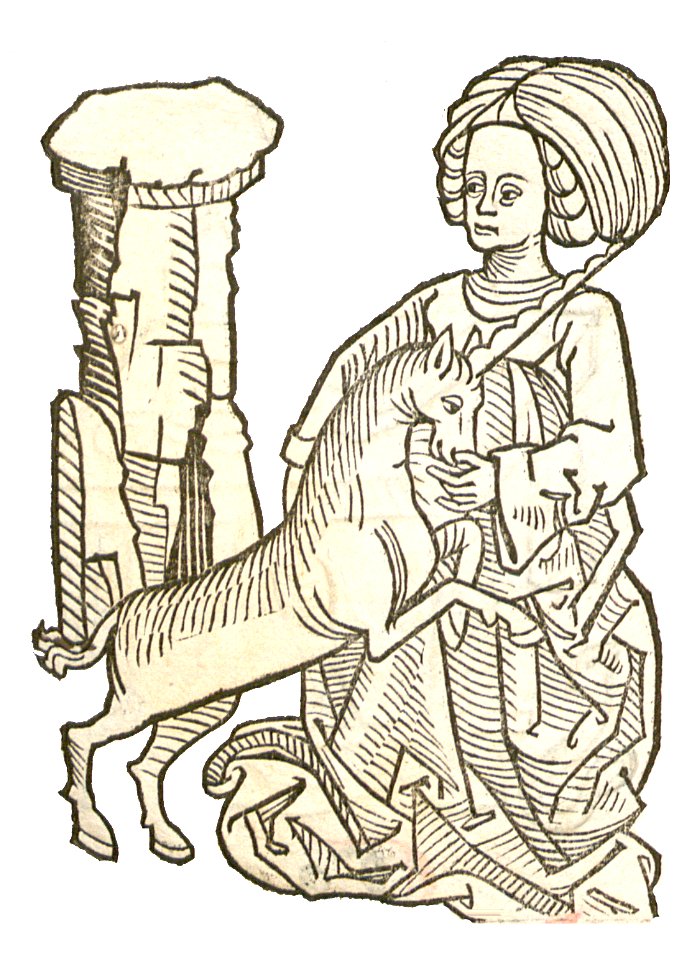 Unicornus-Einhorn1