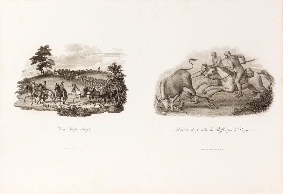 Une Tropa chargée, da Coleção Brasiliana Iconográfica