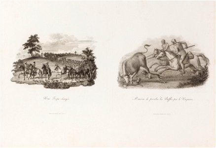 Une Tropa chargée, da Coleção Brasiliana Iconográfica