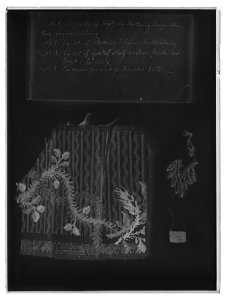 Ungmorsklänning fragment - Livrustkammaren - 77181-negative