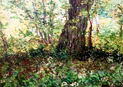 Undergrowth - My Dream