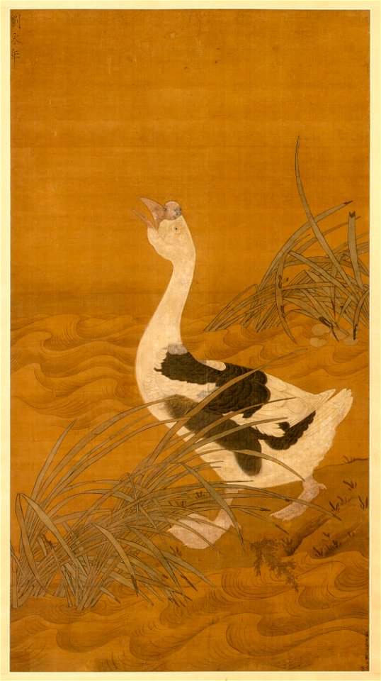 Unknown (Chinese) - Swan Goose Among Water Reeds - 31.282 - Detroit Institute of Arts