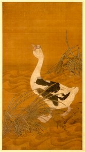 Unknown (Chinese) - Swan Goose Among Water Reeds - 31.282 - Detroit Institute of Arts