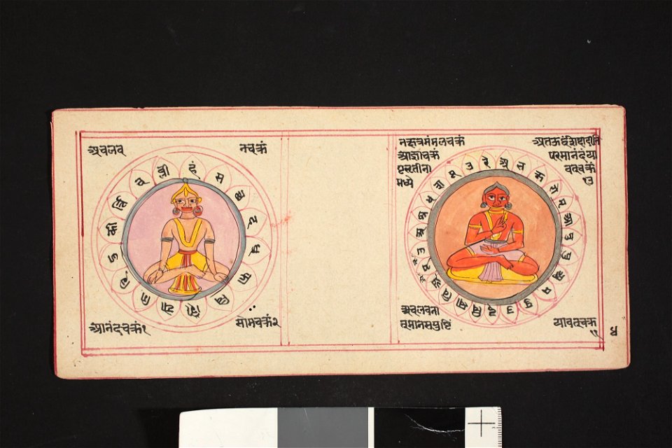 Unknown (Indian) - (Untitled) - F74.8.4 - Detroit Institute of Arts