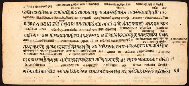 Unknown (Indian) - Tantric Manuscript Sangrahani Sutra - 73.294.54B - Detroit Institute of Arts