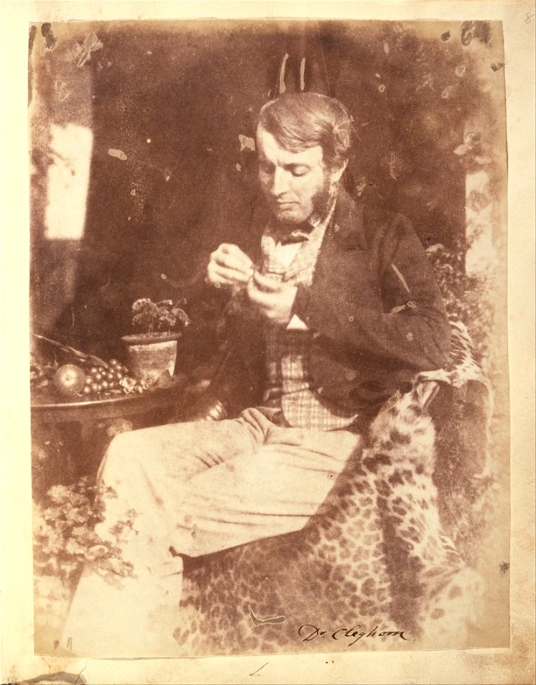 Unknown maker, British - Dr. Cleghorn. - Google Art Project